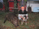 sanglier4