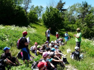 végétation savoie école publique lamastre