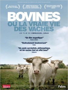 AFFICHE BOVINES Lamastre