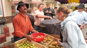 la castagne desaignes 2012