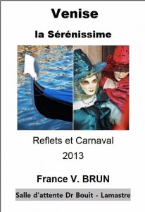 Venise 2013  la serenissime lamastre Reflets  carnaval Brun Vianes