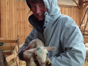 agneau ferme des chaupoux ardèche lamastre