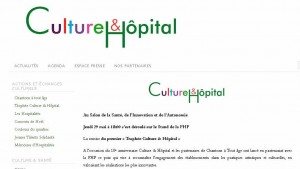 culture & hopital lamastre 2013