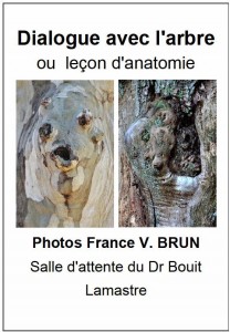 dialogue avec l'arbre ou leçon d'anatomie france vianes brun