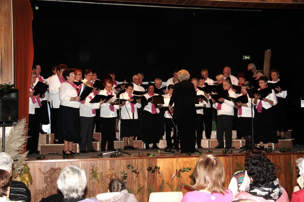 UNRPA  fete_nov 2013 CHORALE lamastre