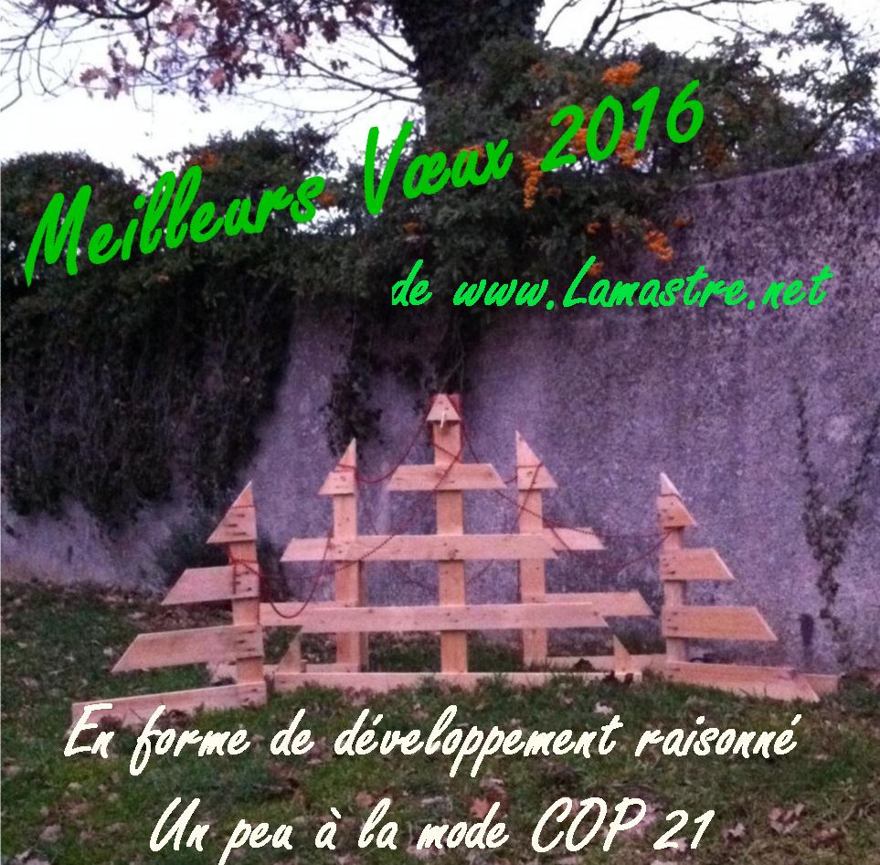 Voeux 2016 Lamastre net