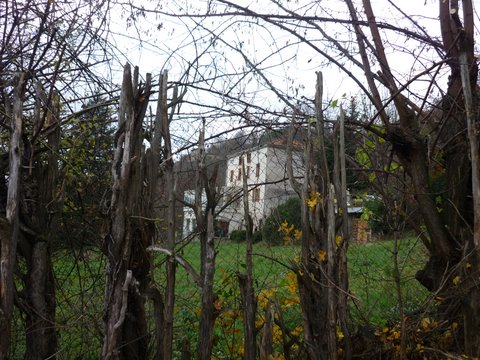 les oisillons association évangelique debienfaisance Eyrieux-Doux