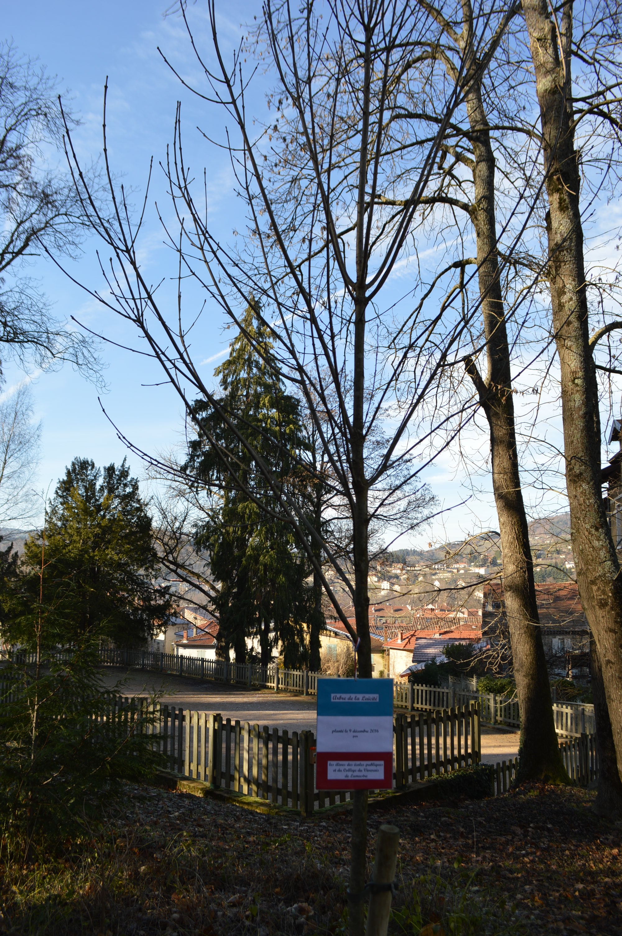 arbre-laicite-lamastre-parc-seignobos