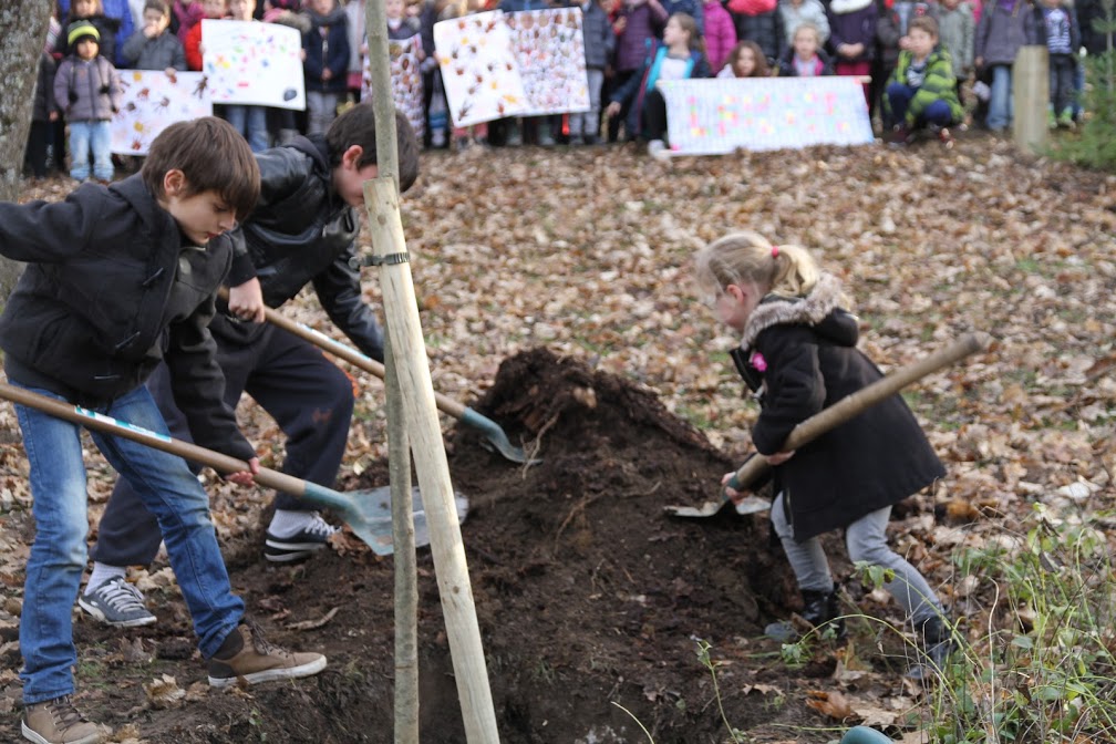 arbre-laicite-lamastre-plantation-enfant