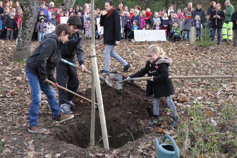 arbre-laicite-plantation-enfant