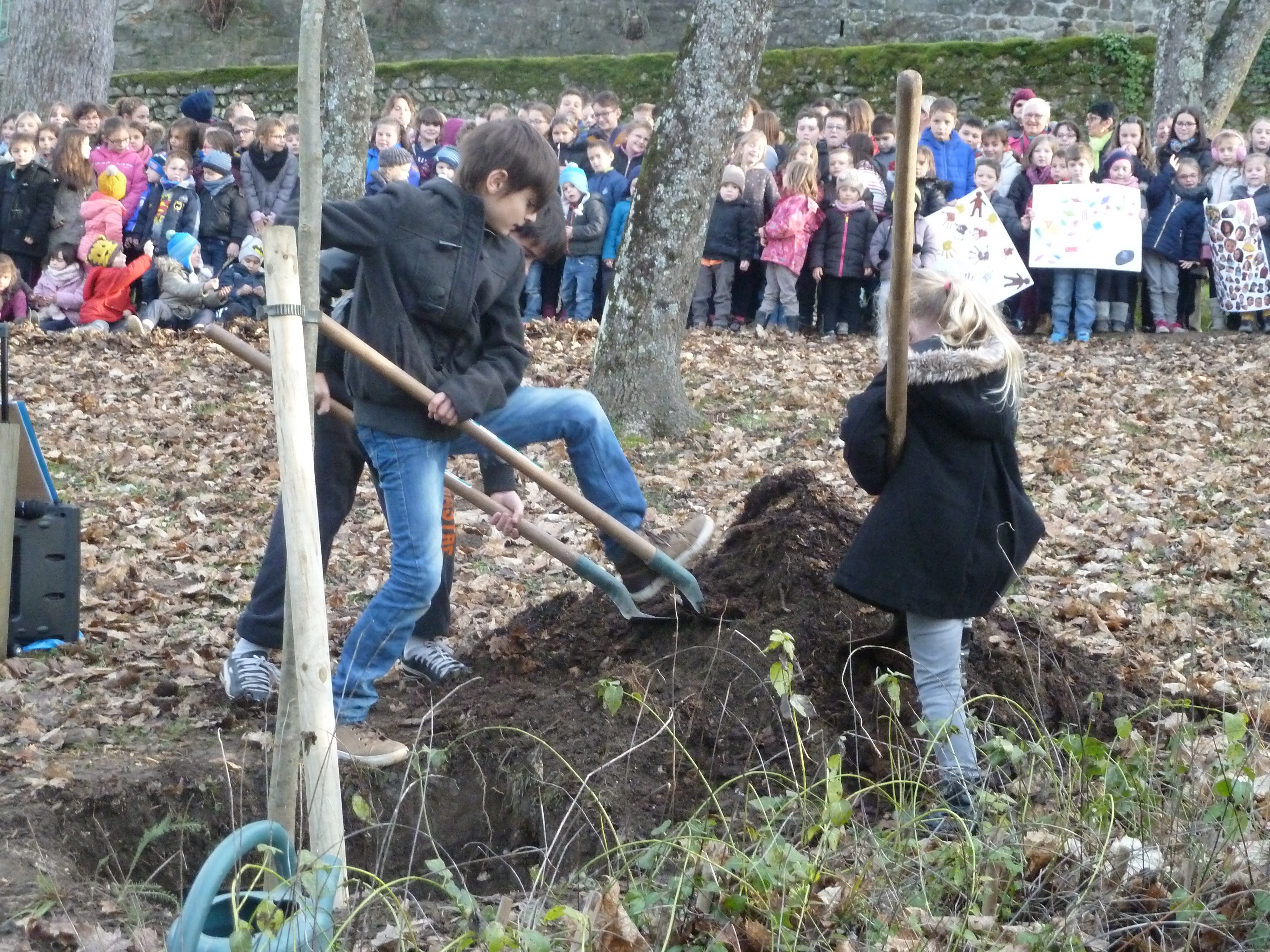 enfant-ecoles-laique-lamastre-arbre-2016