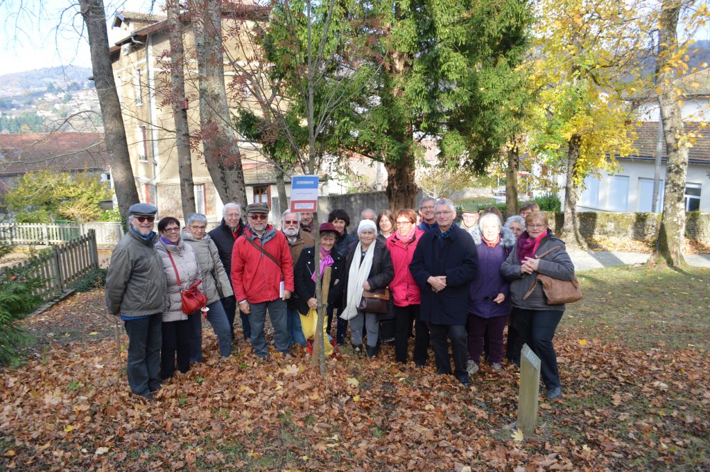 arbre liberte lamastre DDEN 2017