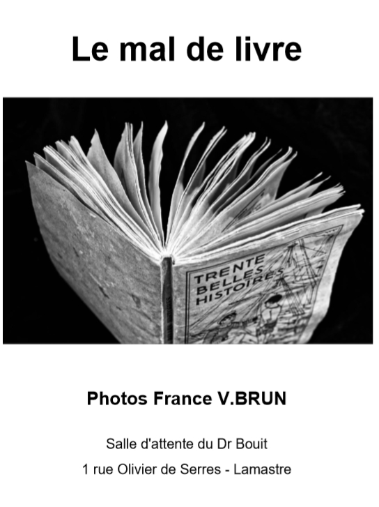 le mal de livre france vianes brun