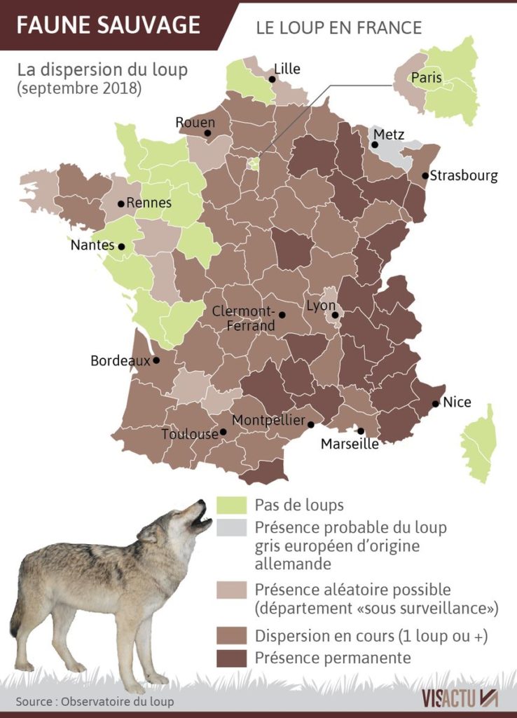 Présence du loup en France carte
