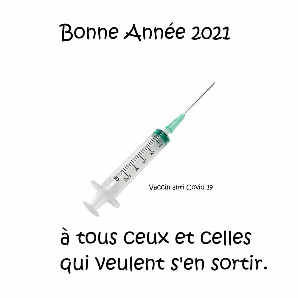 voeux 2021 lamastre.net v