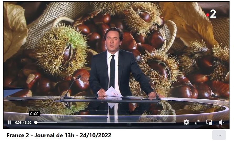 JOURNAL DE fRANCE 2 castagnades Philippe Ranc