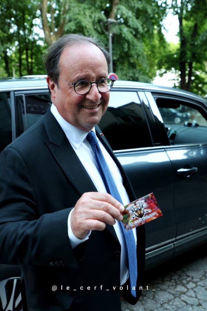 hollande cerf volant