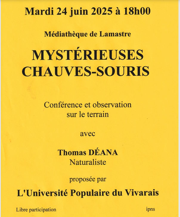CHAUVE SOURIS JP UPV