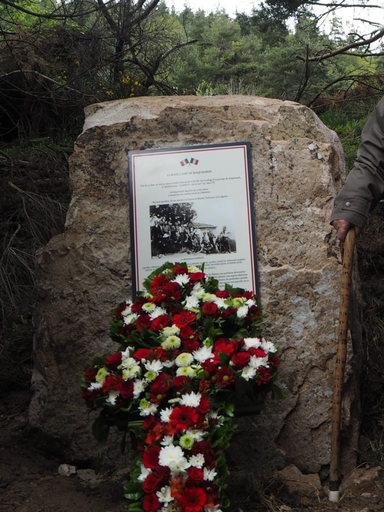 stele raze desaignes