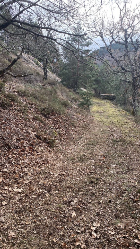 chante l'hermuze la trace