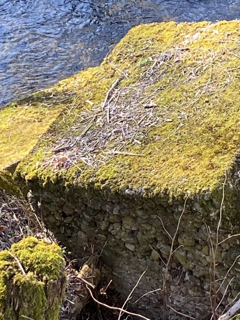 pierre carree coffrage