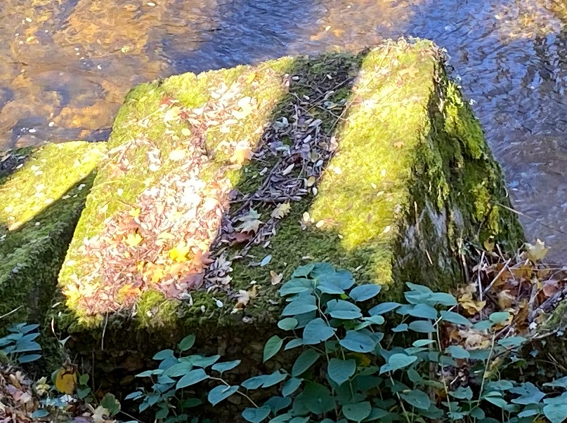 pierre carrée unique