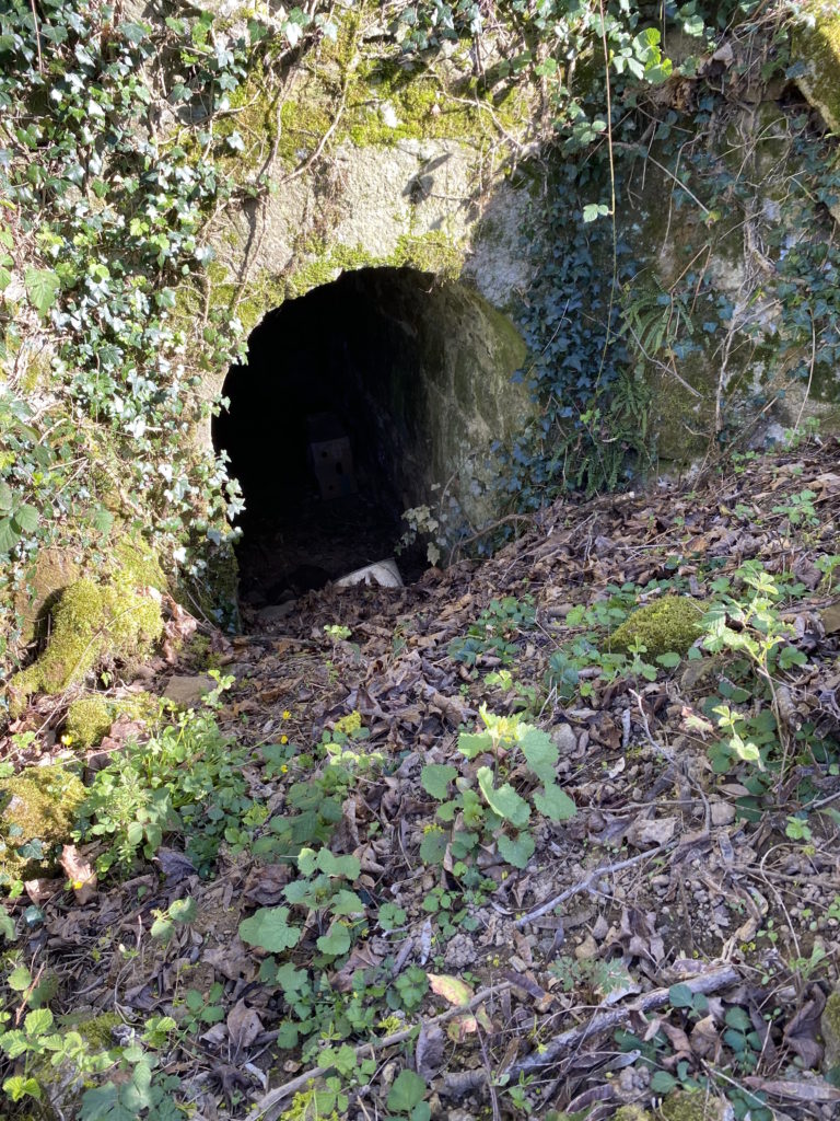 entrée passage Mimosette