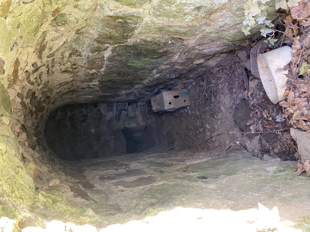 passage mimosette interieur