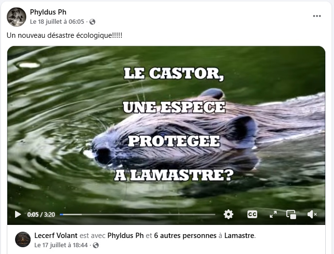 castor phyldus lamastre protection