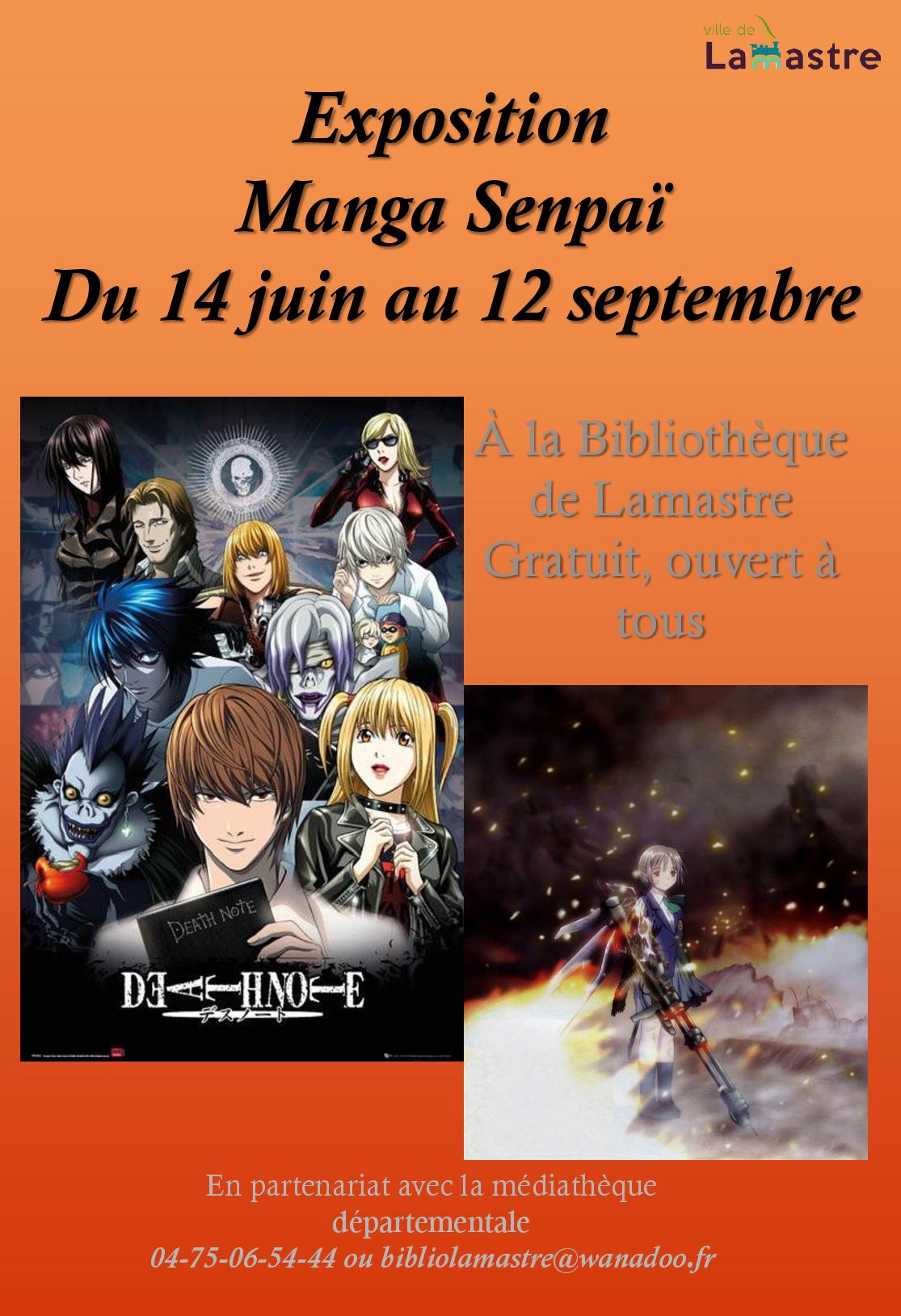 Expo manga bibliotheque lamastre ete 23